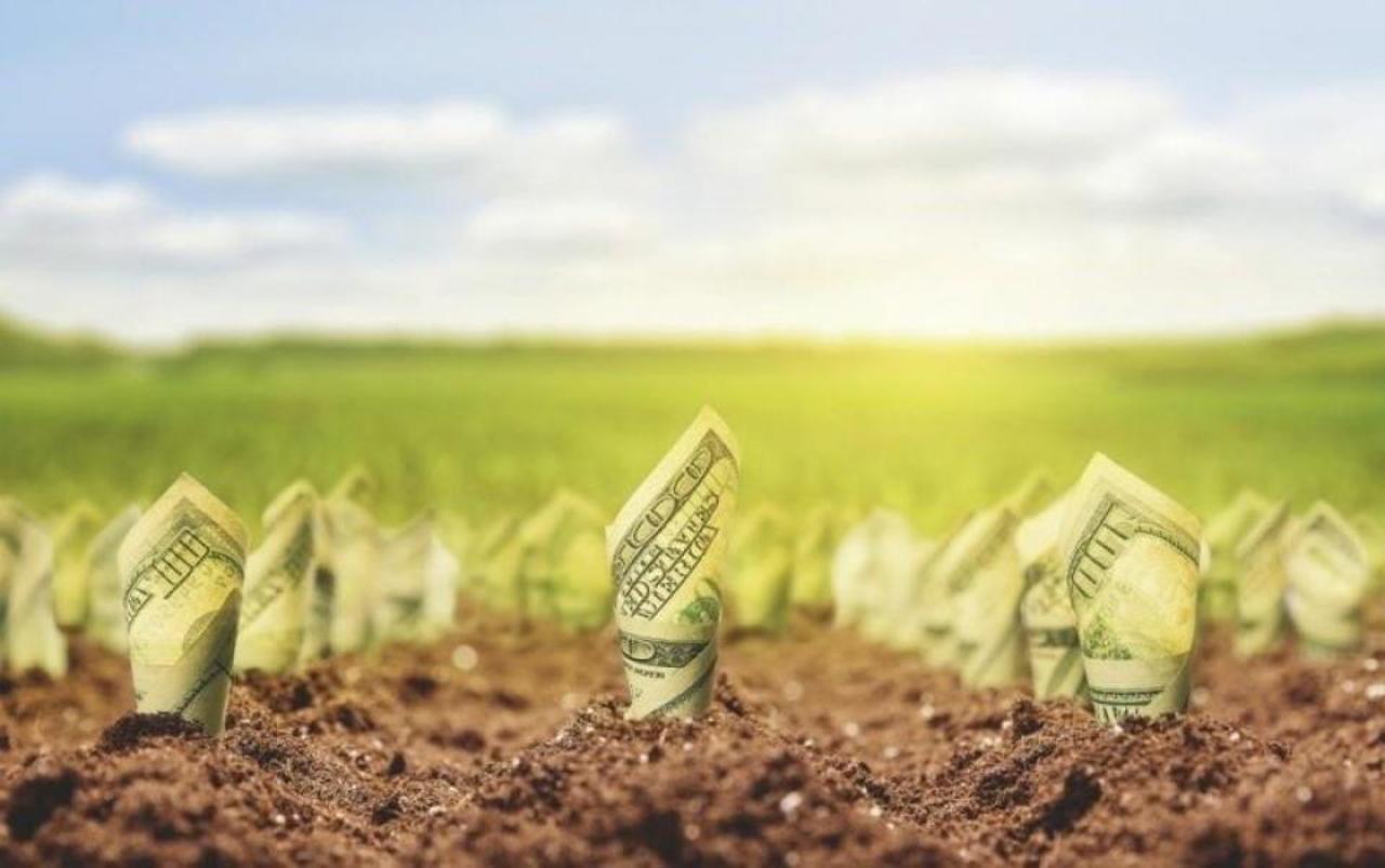 Financial aid for entrepreneurs of both banks of the Nistru to boost joint projects
