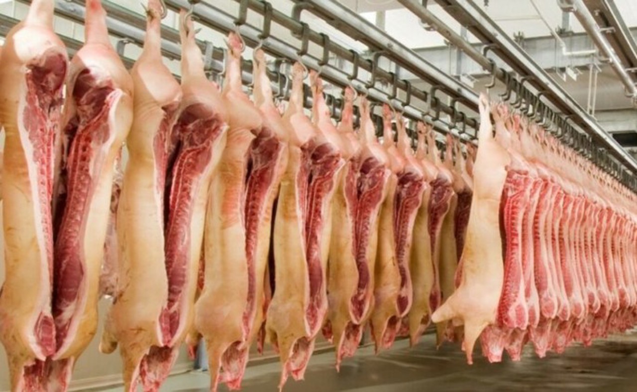 Moldovenii consumă anual circa 57 de mii de tone de carne de porc: Pe locul doi se situează carnea de pasăre 