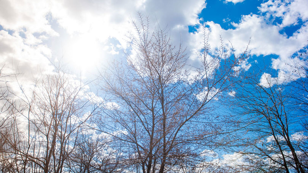 The new year starts with warm weather. What will the weather be like in the next few days?