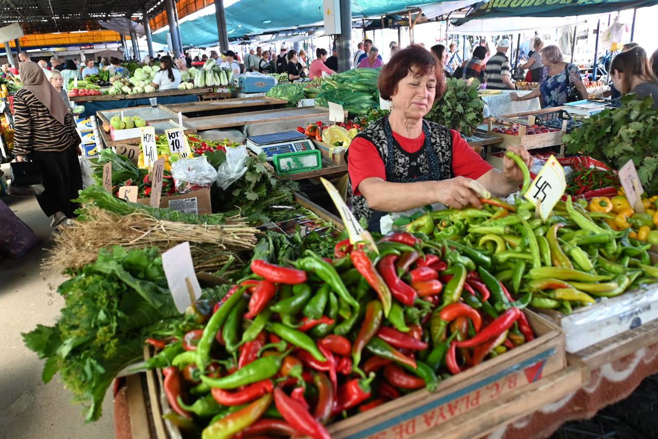 Labor market in the Republic of Moldova: 270,000 people aged 25–45 are not employed