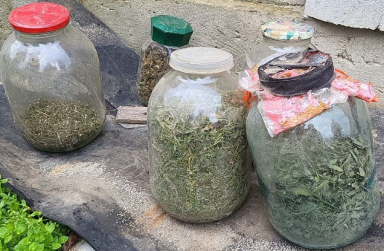 Borcane pline cu marijuana, ridicate de polițiști de la domiciliile a trei bărbați: Valoarea drogurilor - circa 500 000 de lei