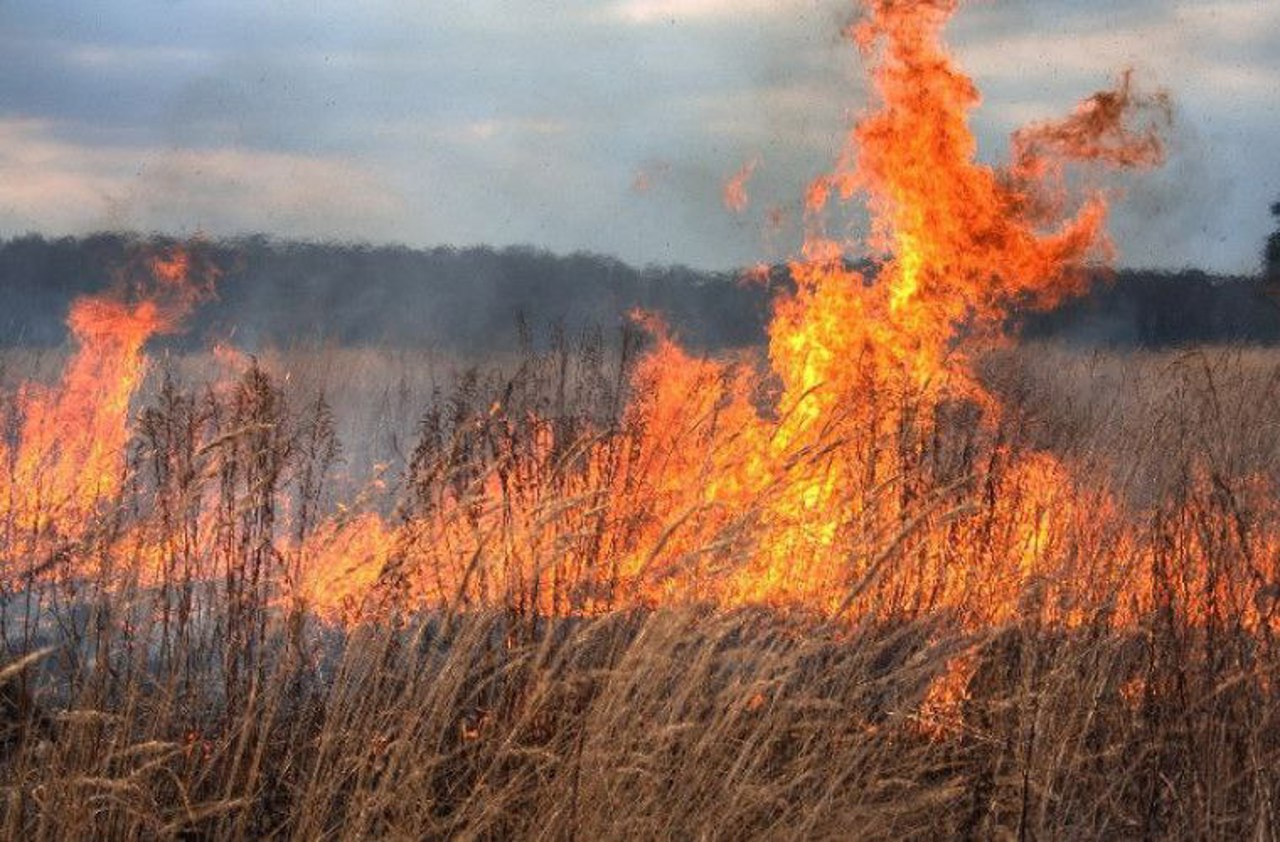 Peste o sută de hectare de vegetație uscată, mistuite de incendii în ultimele trei zile