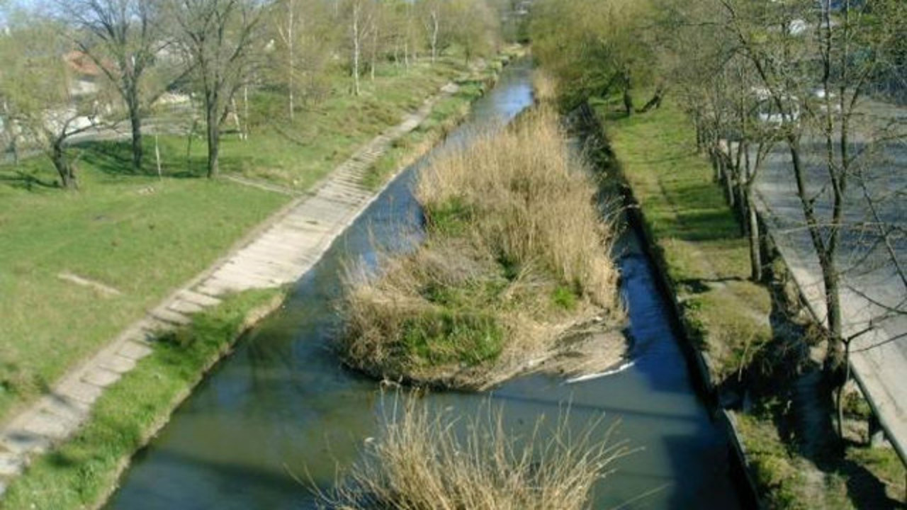 Pete suspecte pe Bâc, semnalate de Apă-Canal Chișinău. Agenția de Mediu: „Au fost prelevate probe de apă”