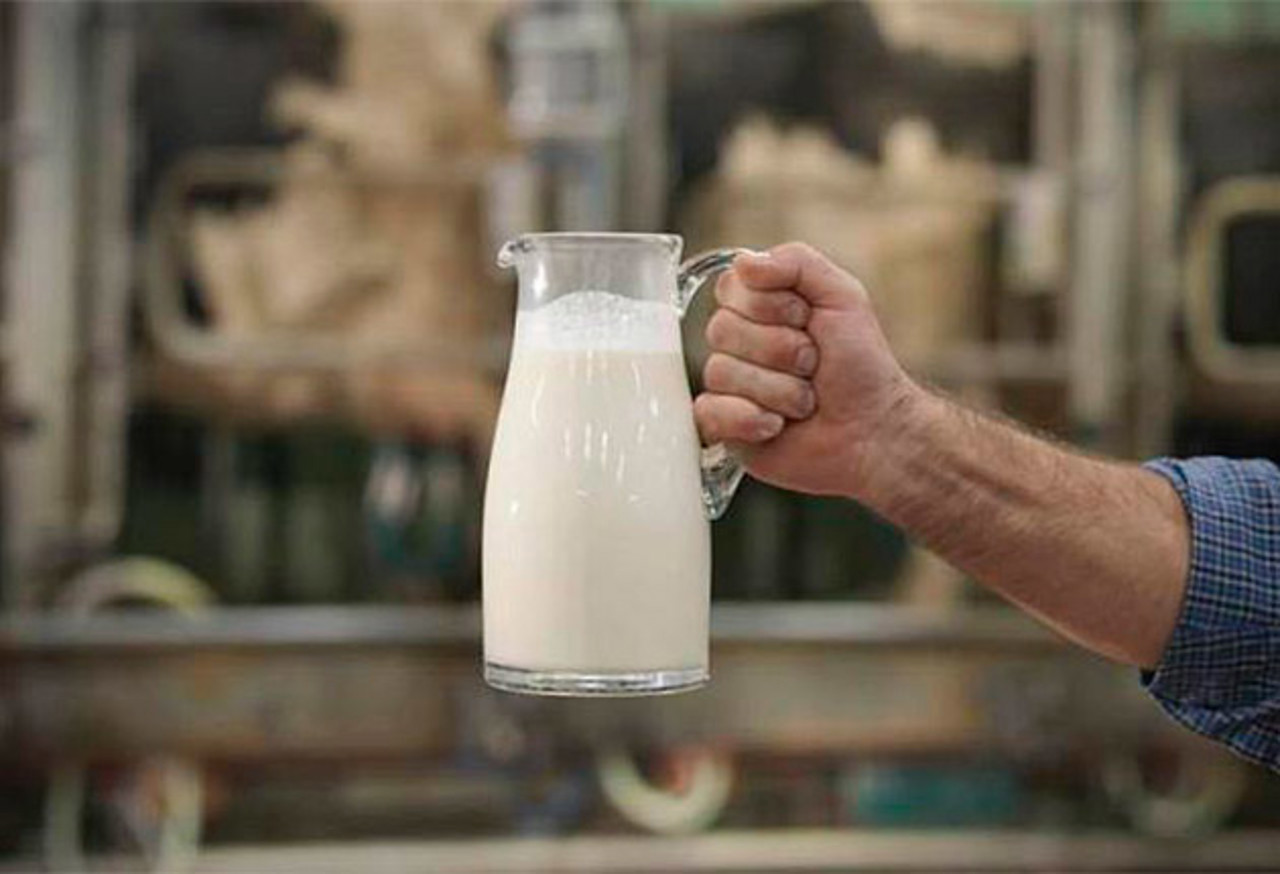 Sprijin pentru sectorul zootehnic: 185 de producători de lapte au depus cereri pentru subvenții