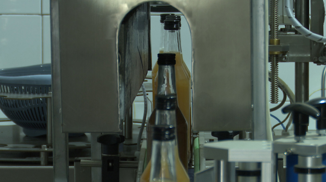 From surplus apples to EU shelves: How a Moldovan entrepreneur scaled with ODA support