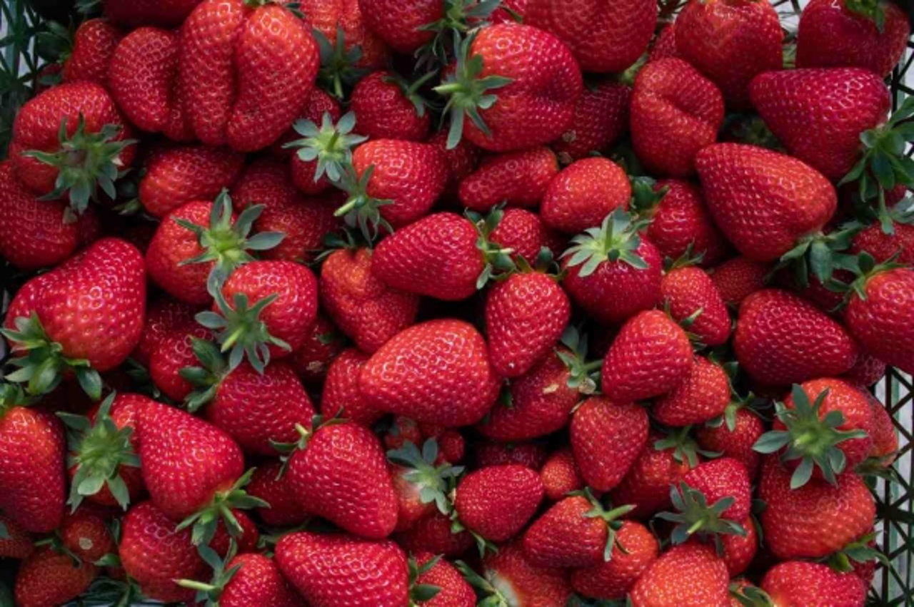 На столичных рынках появилась первая отечественная клубника