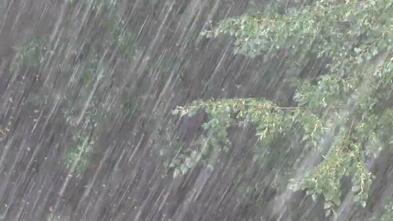 Желтый код: синоптики предупредили о грозовых дождях и шквалистом ветре