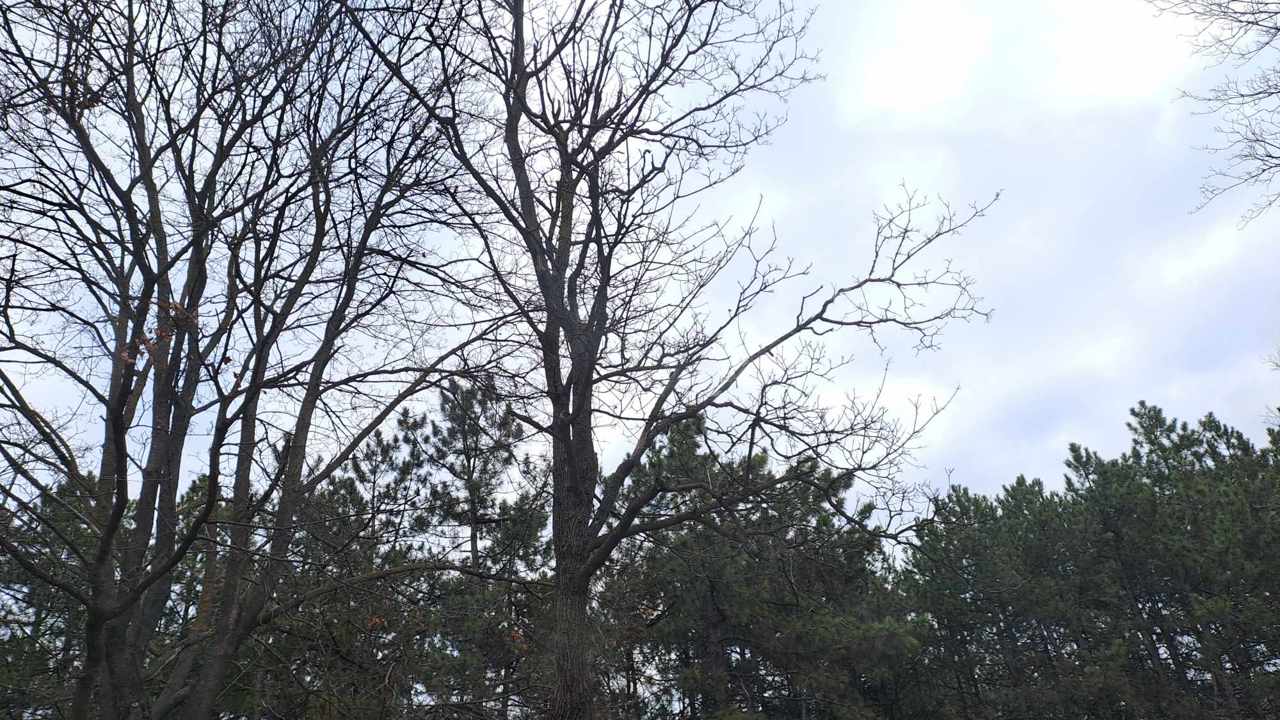 Meteo: Astăzi vom avea cer variabil, izolat ploi slabe