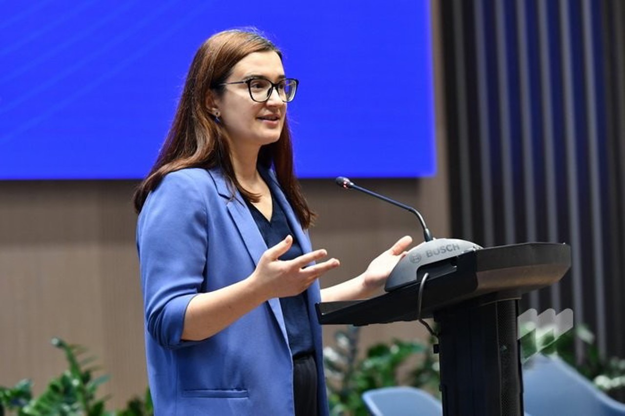 R. Moldova ar putea solicita perioade tranzitorii după aderarea la UE. Gherasimov: Sunt necesare în domeniile cu investiții majore