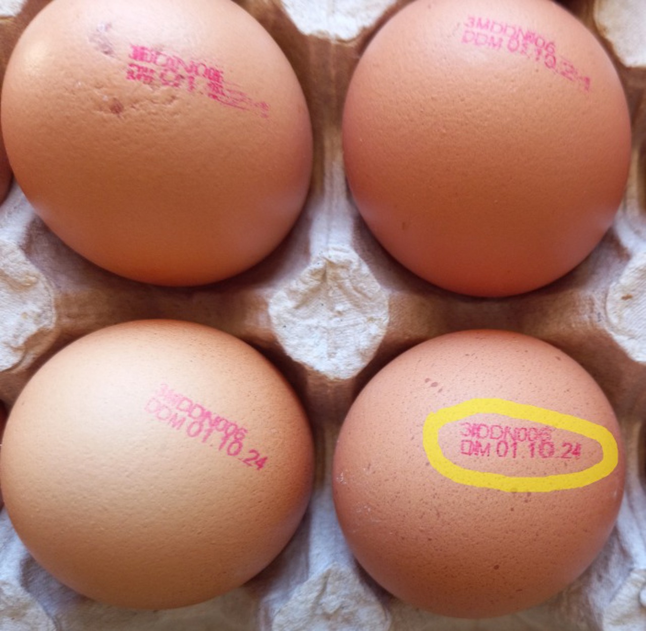 ANSA: Ouă cu salmonella, puse în vânzare de o fabrică din Dondușeni. Reacția companiei