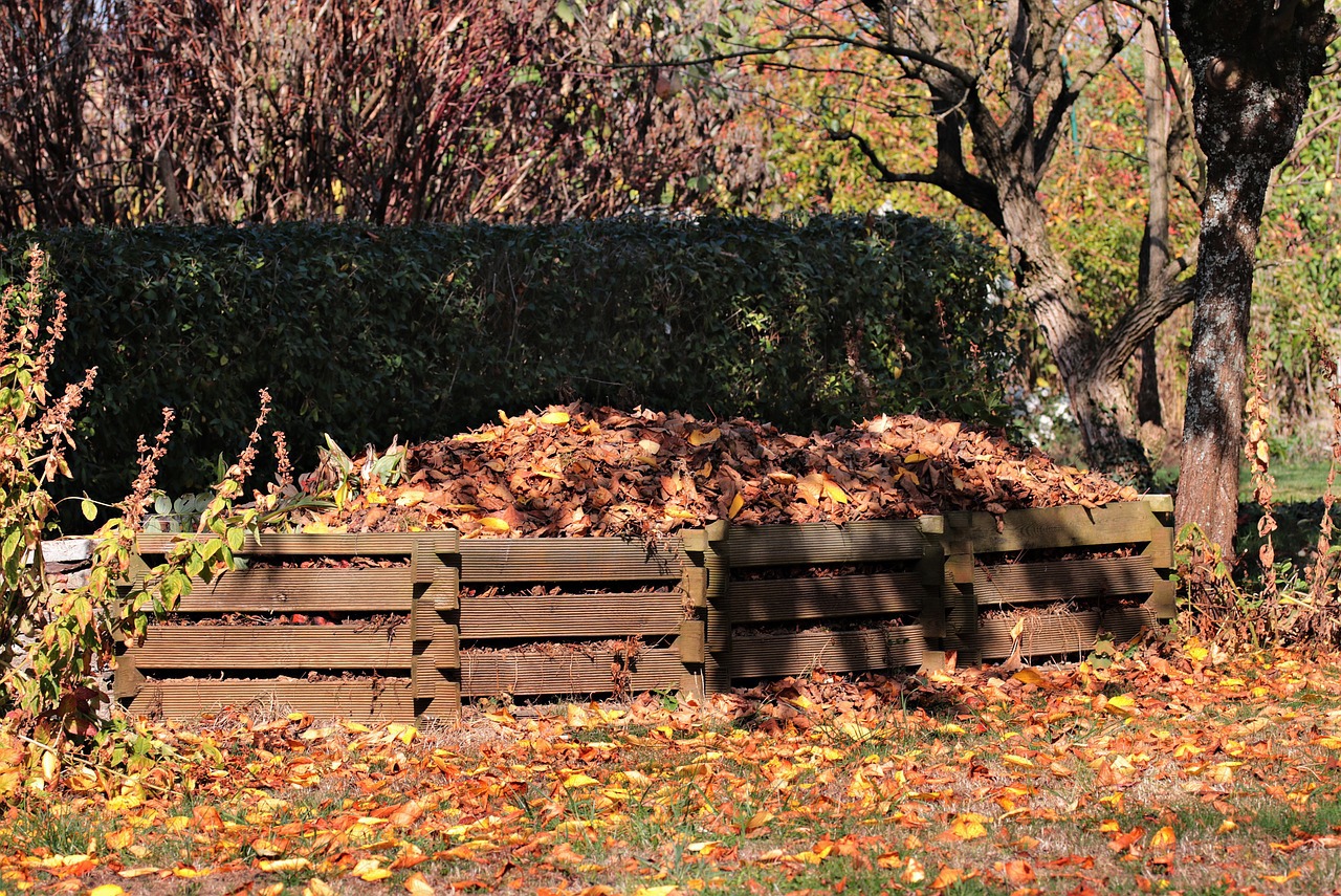 Over 1,600 fines issued for leaf burning; composting offers an eco-friendly alternative