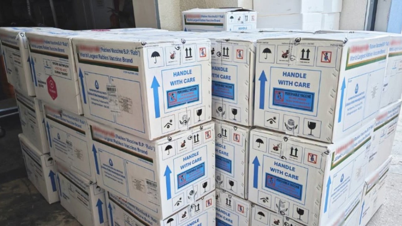 Al doilea lot de vaccin antirabic din acest an a ajuns în Republica Moldova