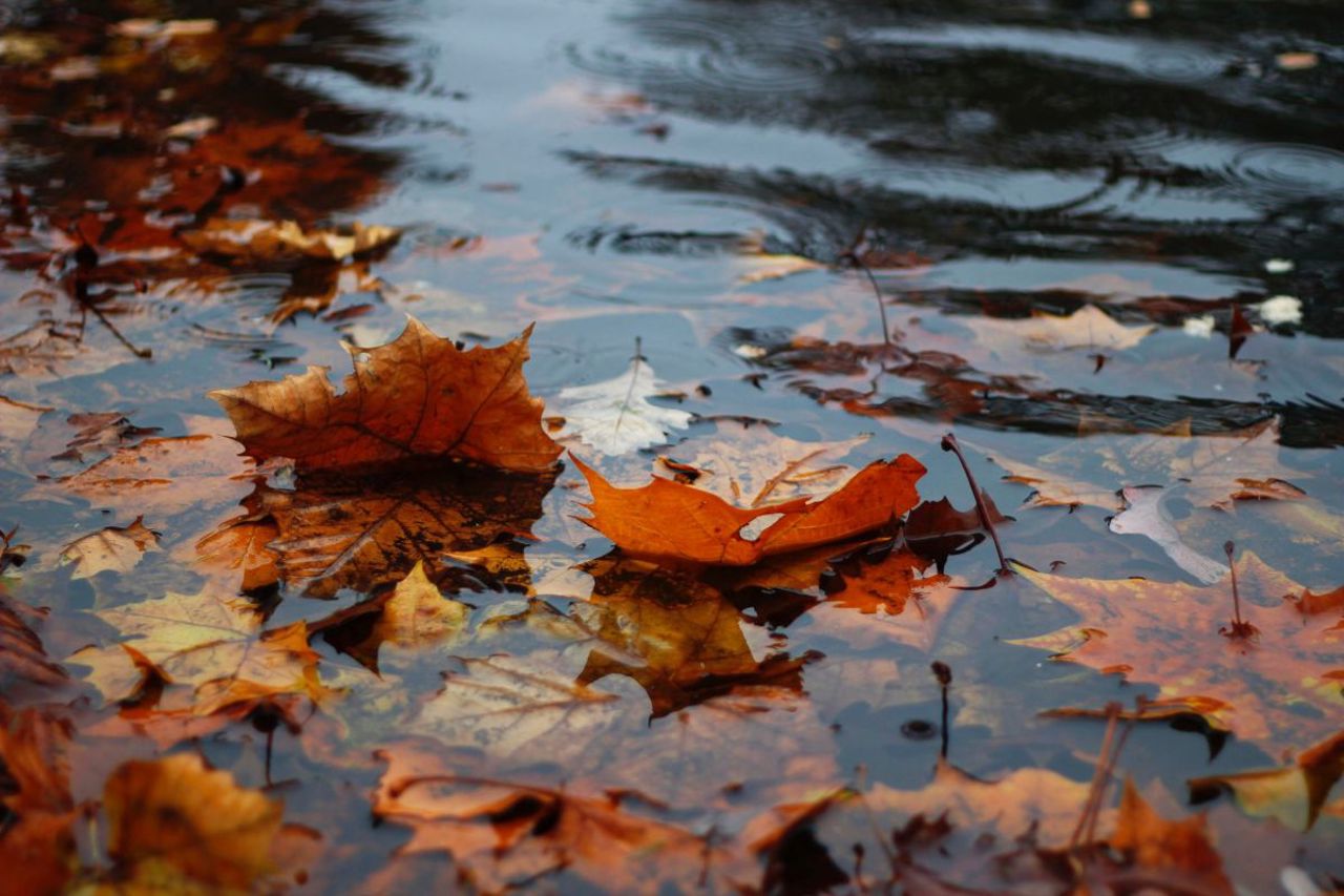 Vreme ploioasă în următoarele zile. Temperaturile vor coborî până la patru grade