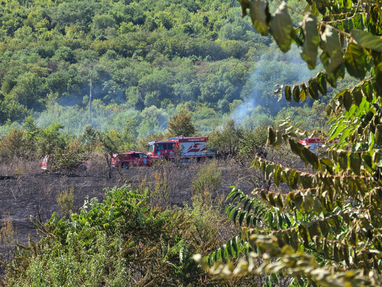 Incendiu de vegetație în zona bulevardului Traian din Chișinău: Șase echipaje de pompieri au intervenit