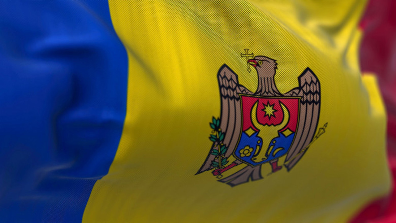 First reading vote: "Moldovan language" to be replaced by "Romanian language"