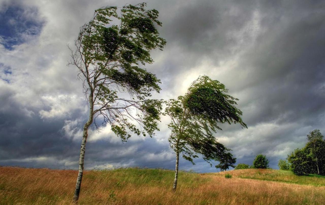 Meteorologii au emis Cod Galben de vânt puternic pe întreg teritoriul țării