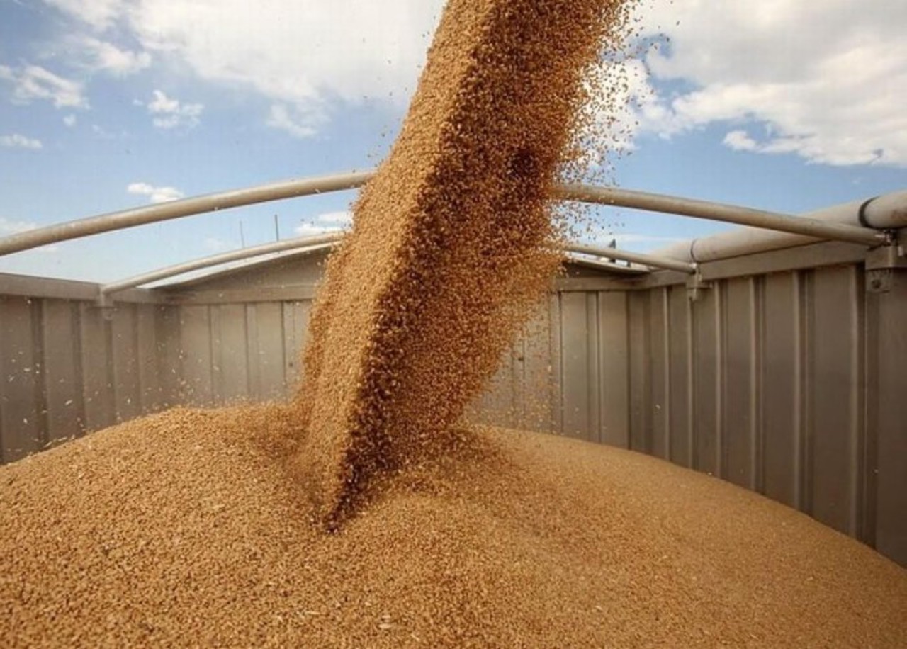 State restrictions on wheat, corn, and sunflower imports extended through year-end