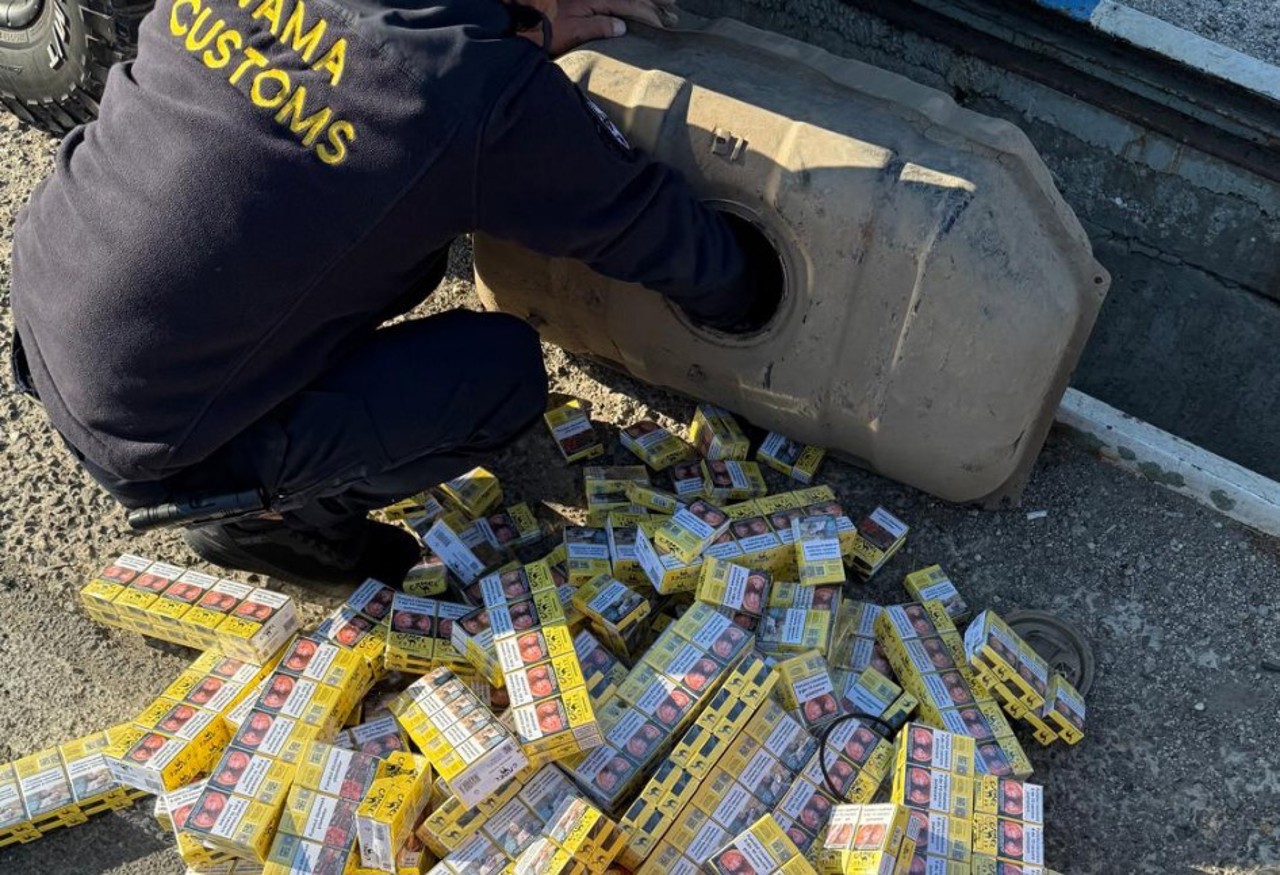 Служебные собаки обнаружили контрабандные сигареты в автомобиле на КПП в Кагуле