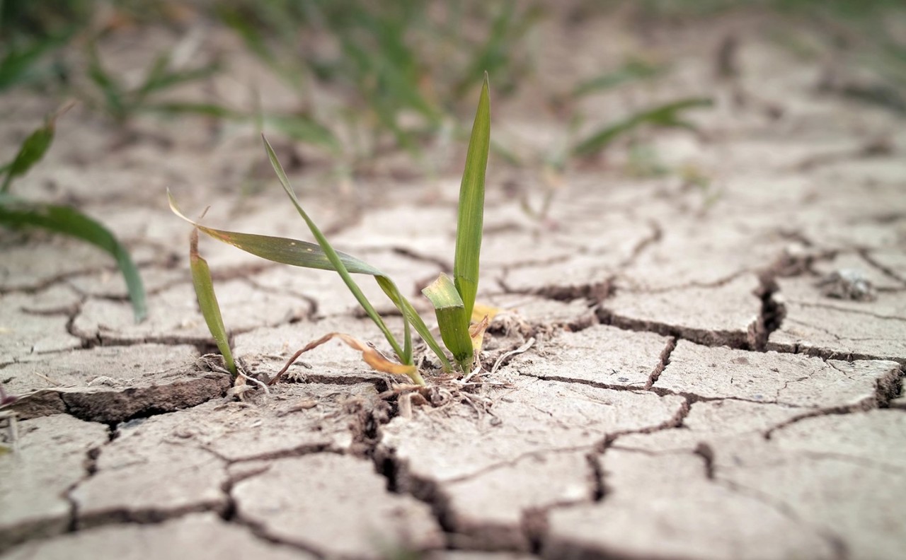 Pierderile de miliarde de lei provocate de fenomenele meteo extreme obligă autoritățile să schimbe abordarea: Planul aprobat de Guvern