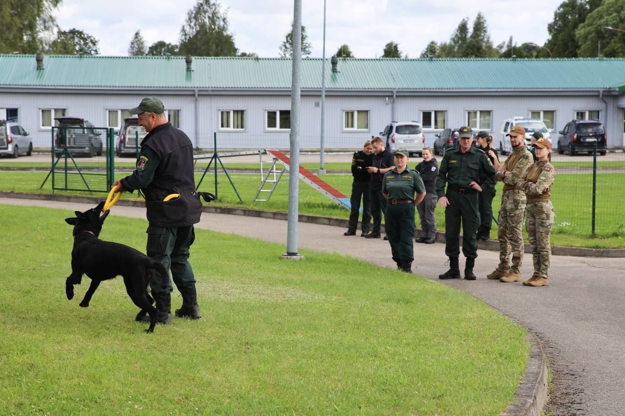 Explozibilii, detectați mai rapid: Aeroportul Chișinău își modernizează serviciul chinologic