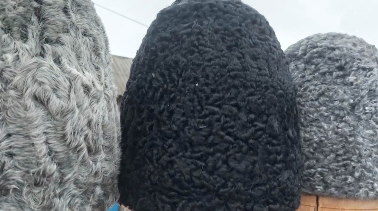 „Port căciulă de cârlan”: cine mai meșterește astăzi, în R. Moldova, astfel de cușme