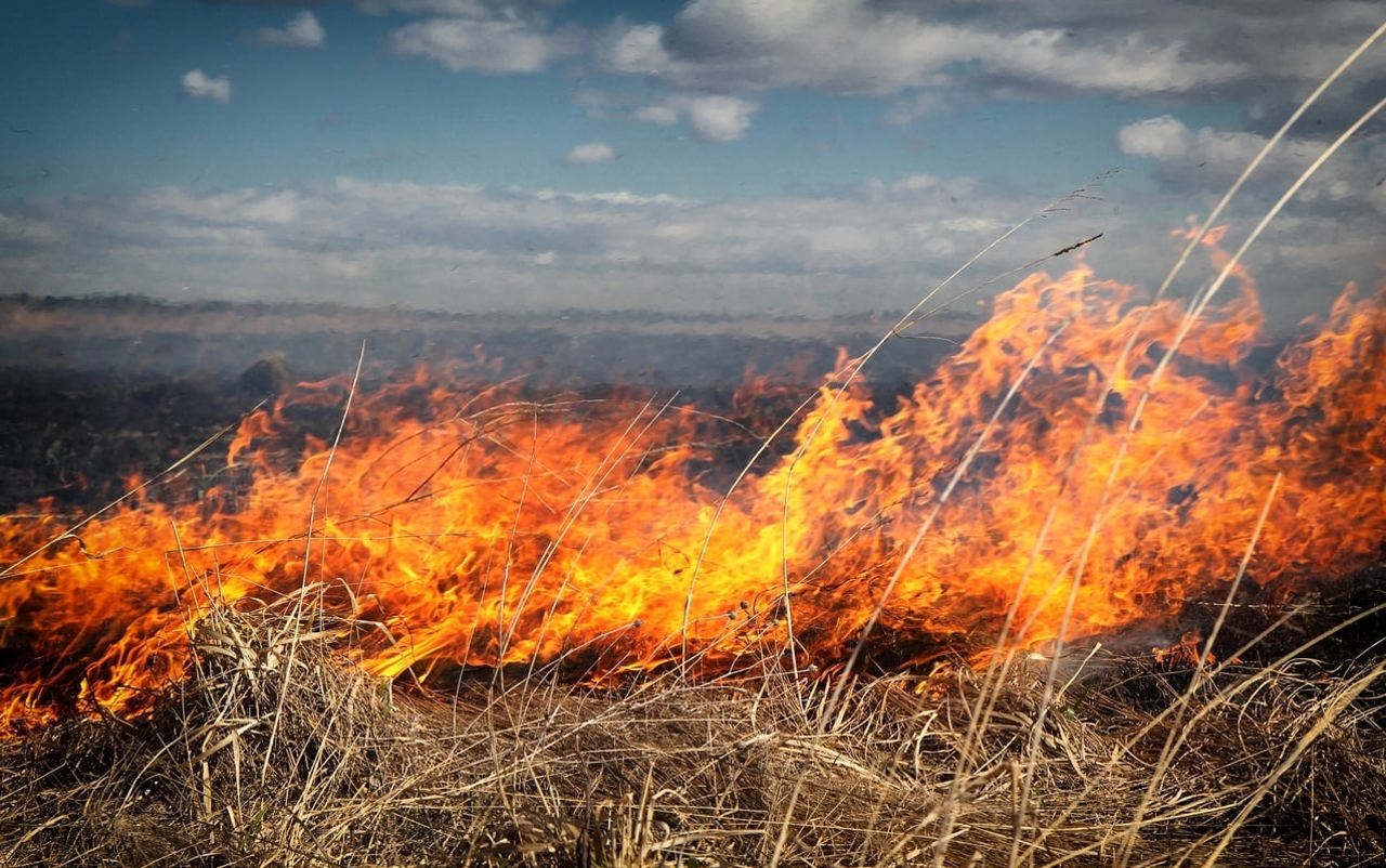 ГИЧС предупреждает о риске возникновения пожаров на участках с растительным покровом