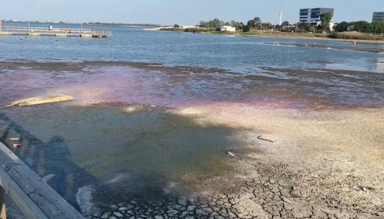 Таинственное и эфемерное шоу на озере Текиргёл в Констанце, Румыния