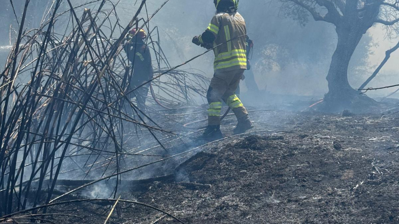 Pompierii moldoveni, umăr la umăr cu colegii lor eleni la stingerea incendiilor de vegetație izbucnite în Grecia