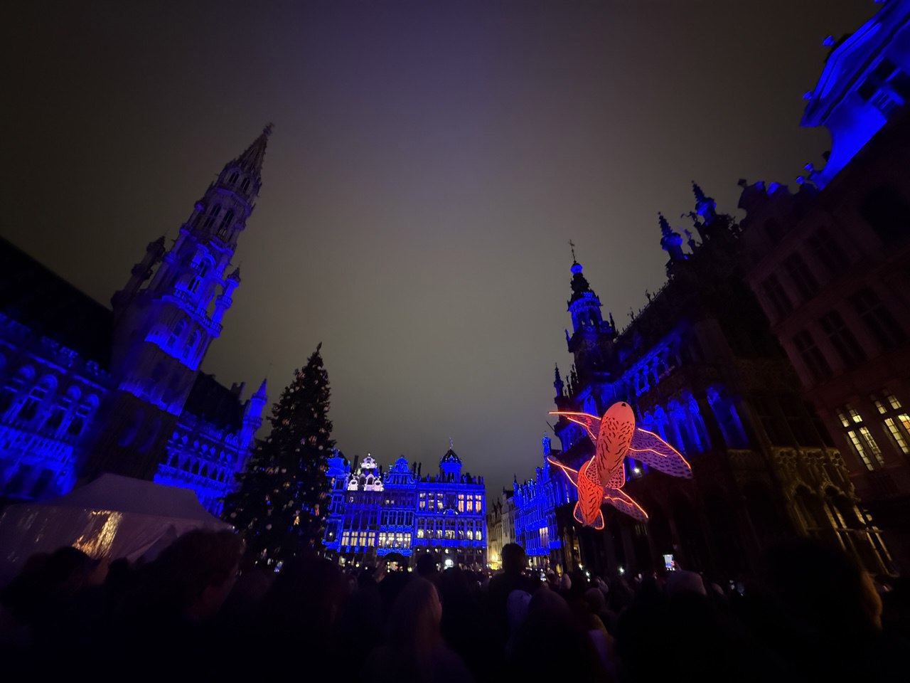 Printr-un joc de lumini feerice, Bruxelles și-a inaugurat bradul de Crăciun din acest an