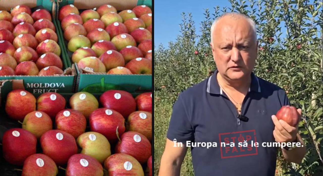 Igor Dodon, prins cu un nou fals: exporturile de mere moldovenești în UE au crescut de 24 de ori