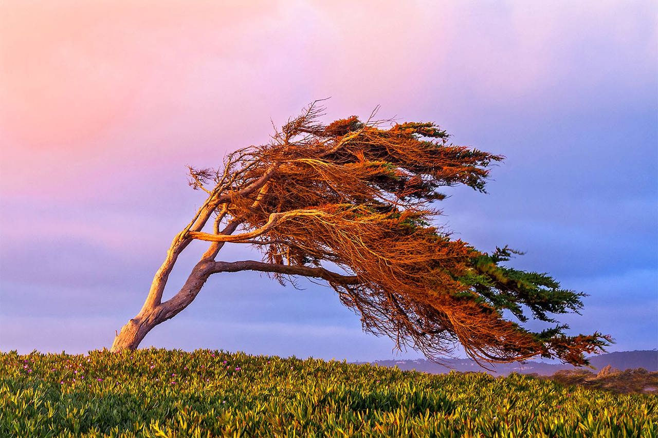 Синоптики объявили желтый код в связи с усилением ветра