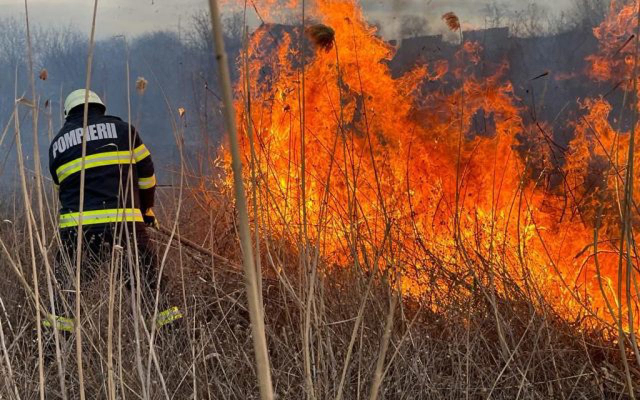 Peste 500 de hectare de vegetație uscată, distruse de flăcări în acest weekend