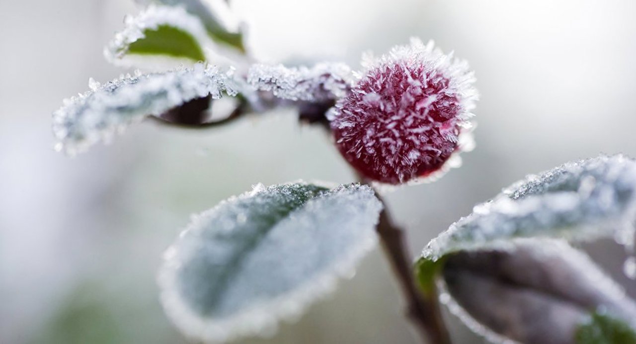 Temperaturi scăzute de Blajini: pe timp de noapte, vor fi înghețuri la sol