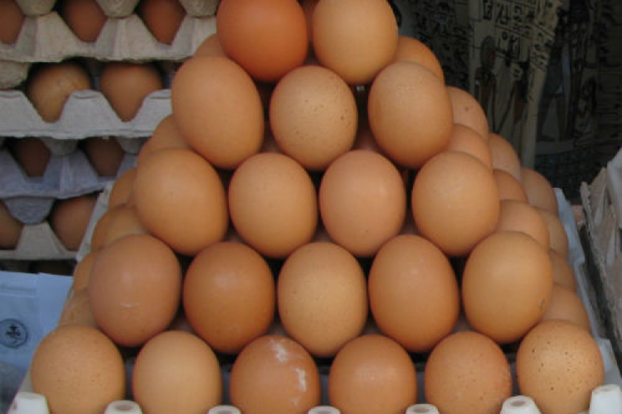 Килограмм яиц. Дорогие яйца. 20 Килограммовые яйца. Яйца 3 кг.
