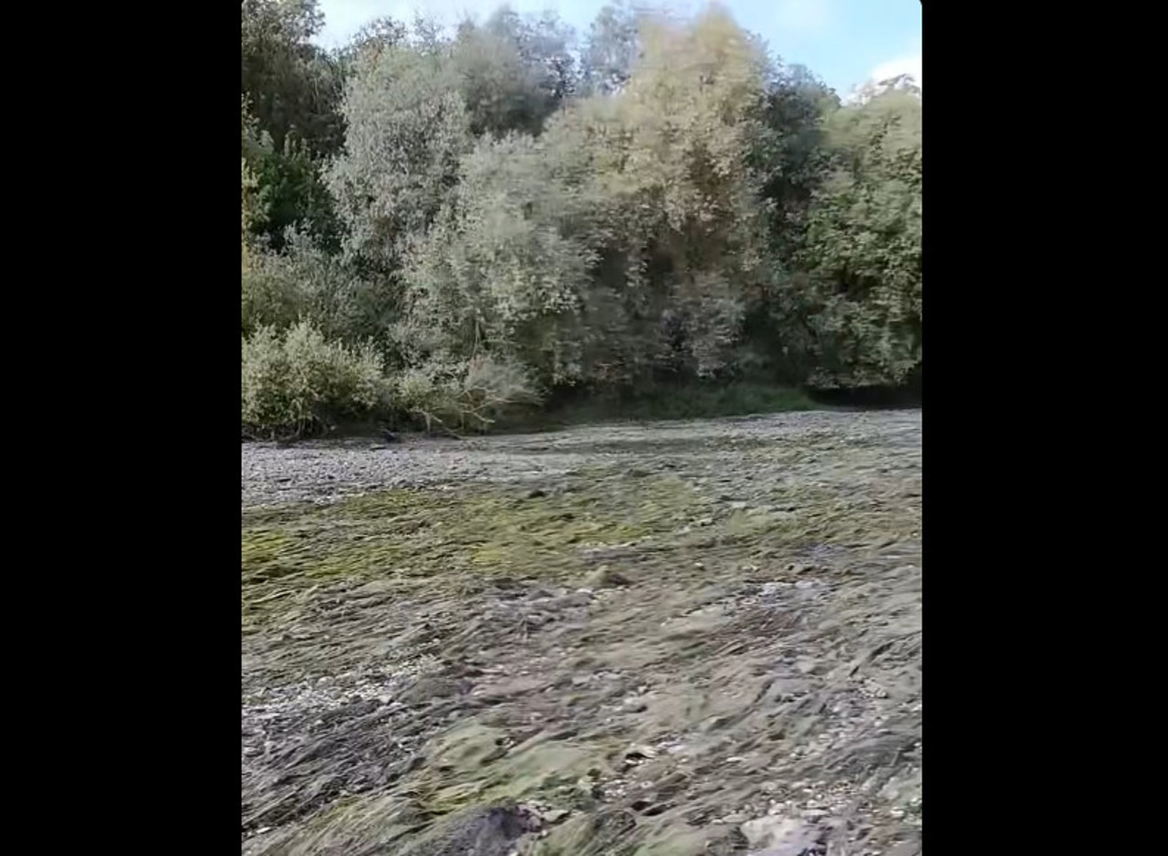 Nistrul se retrage dramatic la Naslavcea: Peștii au rămas în gropile cu apă