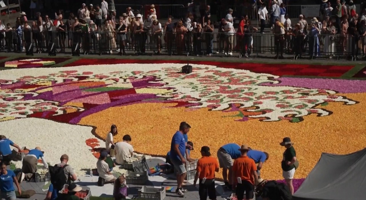 Jumătate de milion de dalii: Un covor floral inspirat din arta japoneză a fost confecționat la Bruxelles