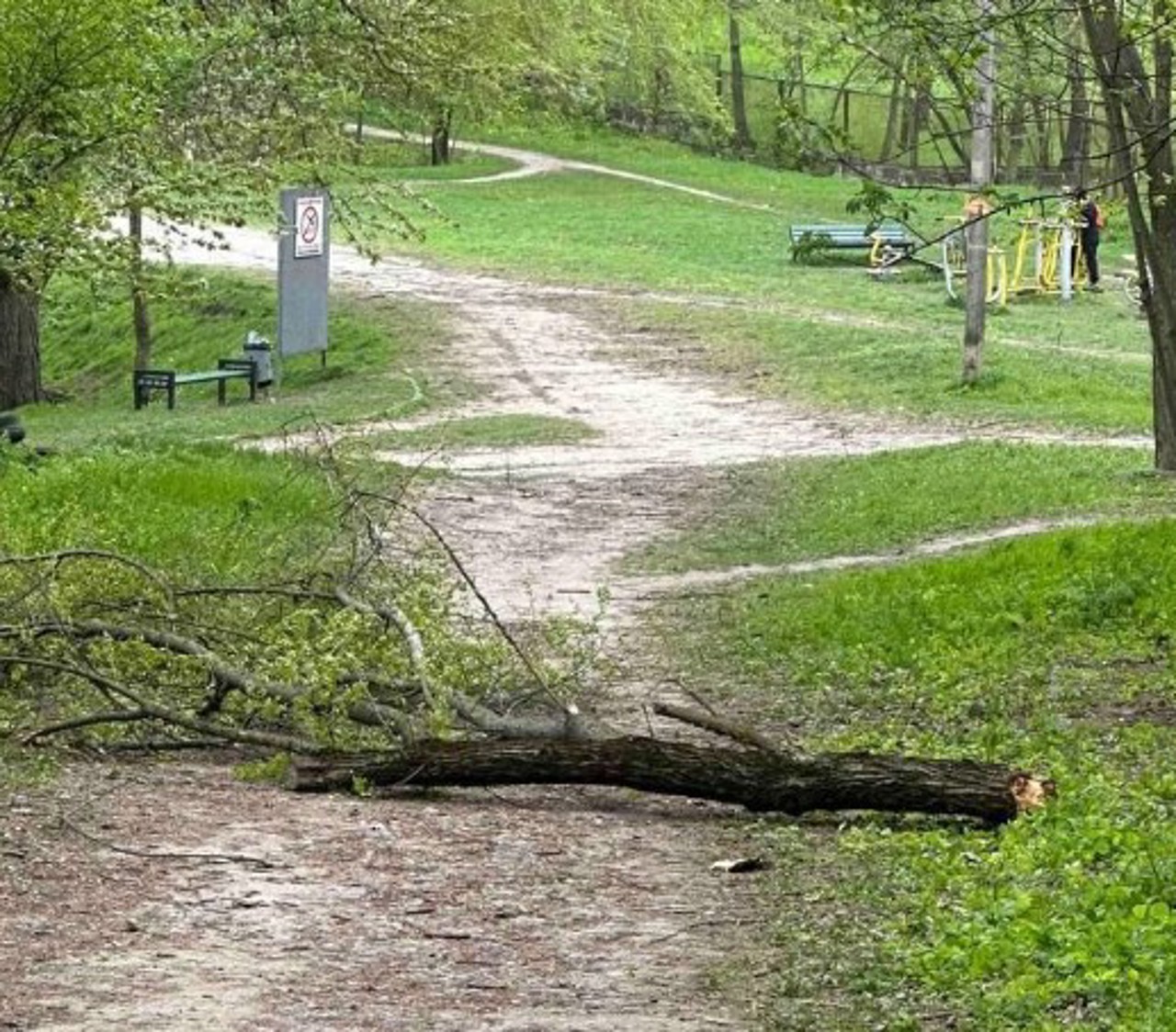 Tragedie în capitală: Un bărbat a decedat, după ce un copac a căzut peste el într-un parc din sectorul Râșcani