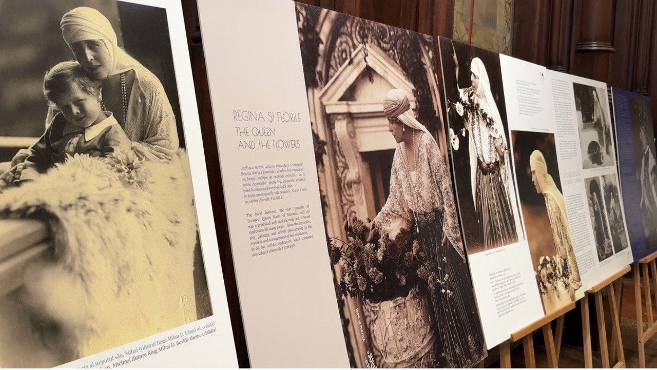 Expoziție: „Florile Reginei Maria. Crinul Vieții”, sala gotică, primăria orașului Bruxelles