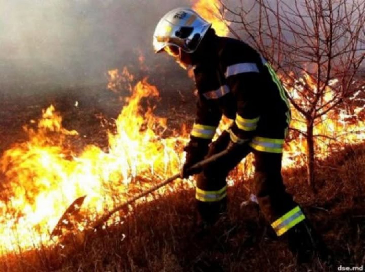Yellow fire code: Extreme fire risk in southern, central, and eastern Moldova