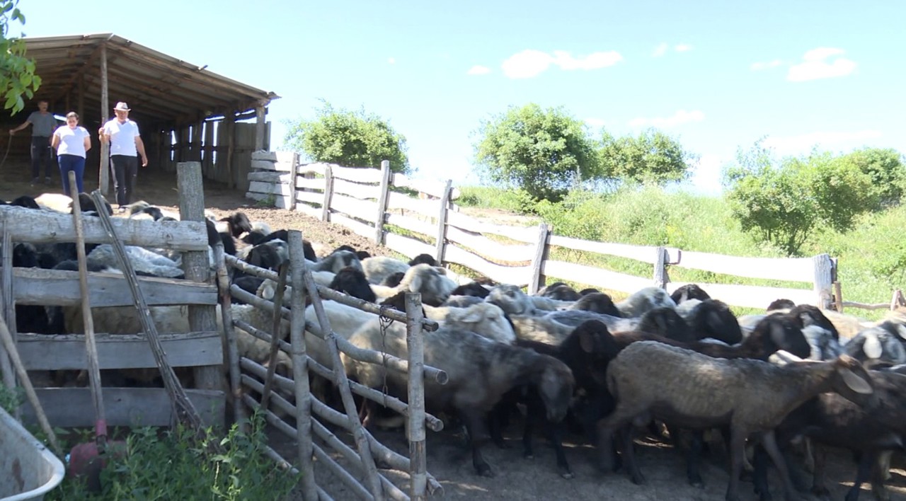 Family in Cernoleuca builds a business on tradition and hard work