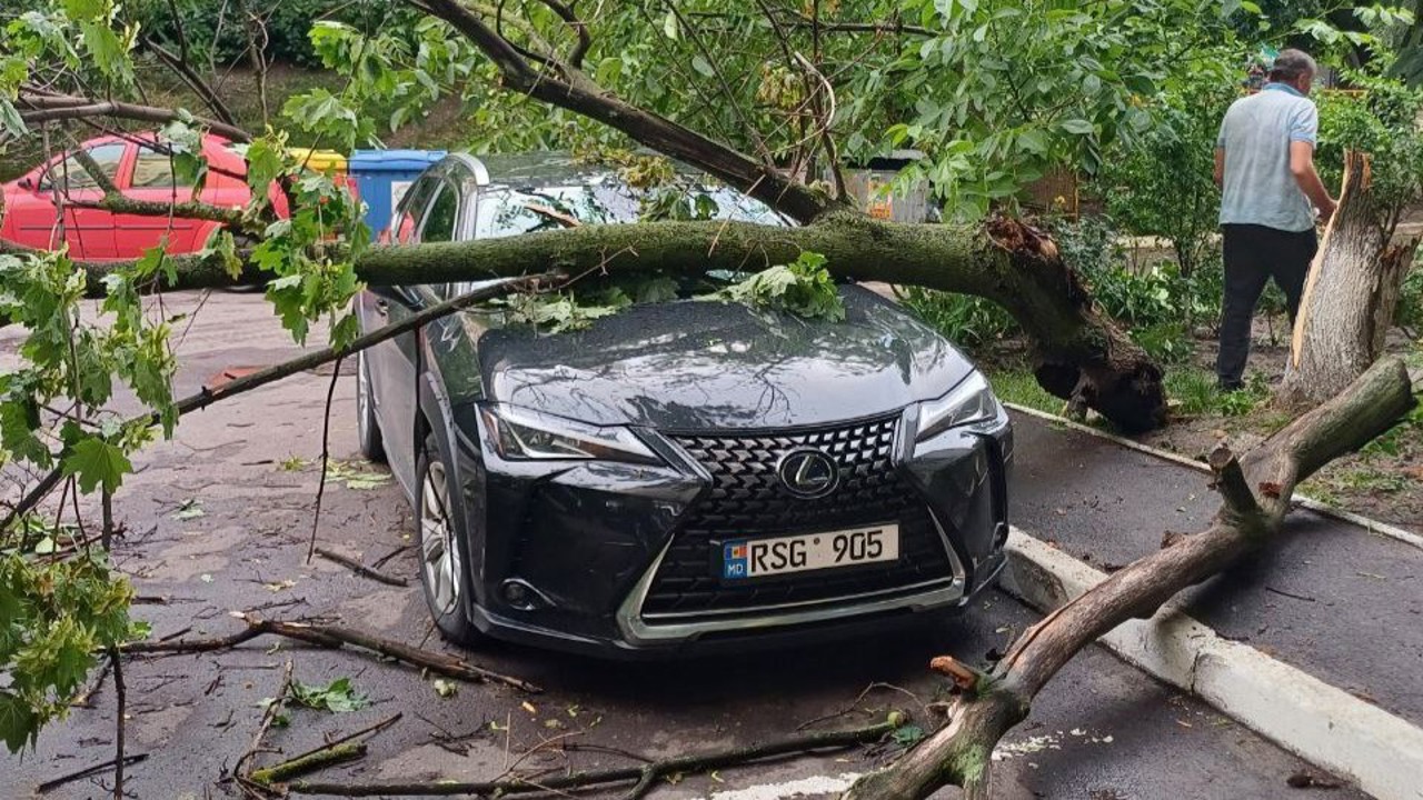 Crengi căzute și copaci doborâți în urma ploilor în Chișinău. Două automobile au fost avariate 