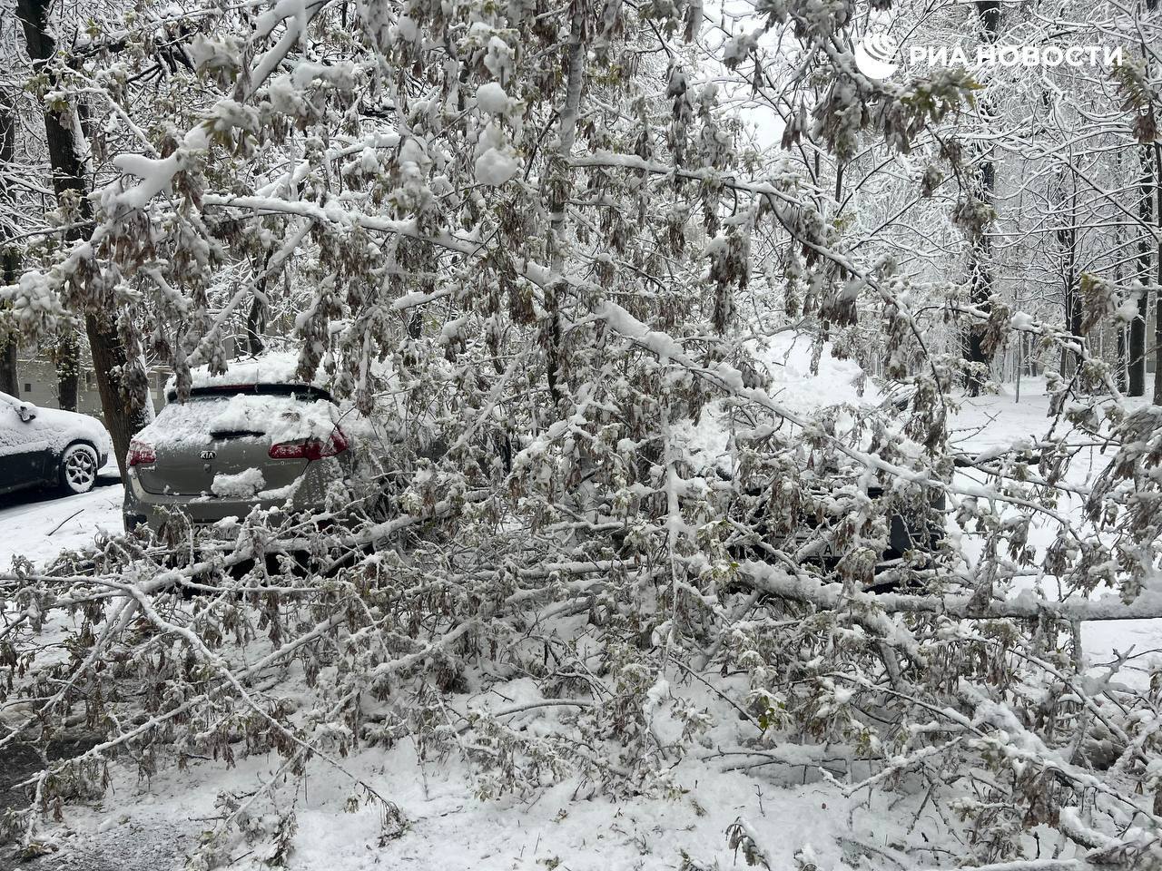 РИА Новости