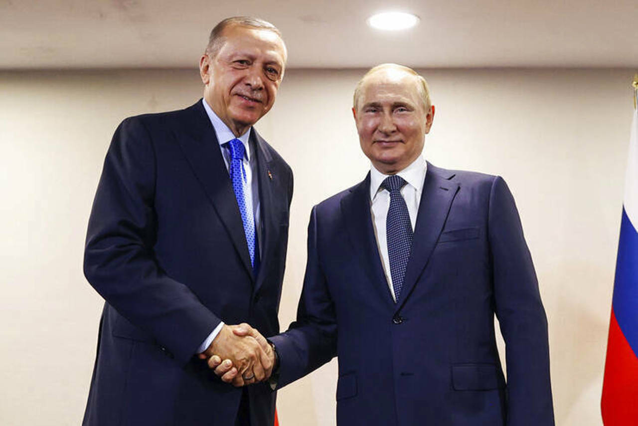 Erdogan, Putin meet in Sochi to discuss grain corridor