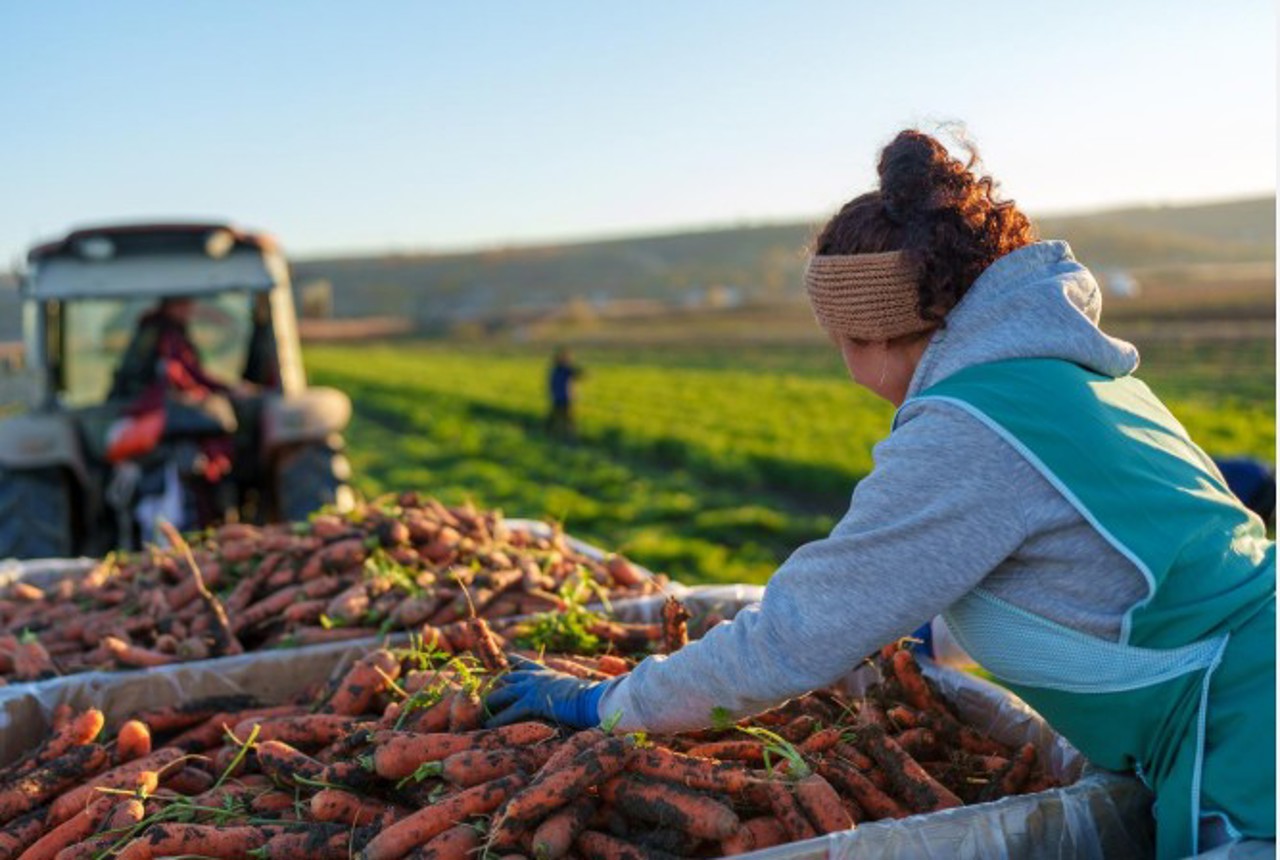 Subvenții în avans în locul celor post-investiționale: Autoritățile modifică politicile de sprijin pentru agricultori