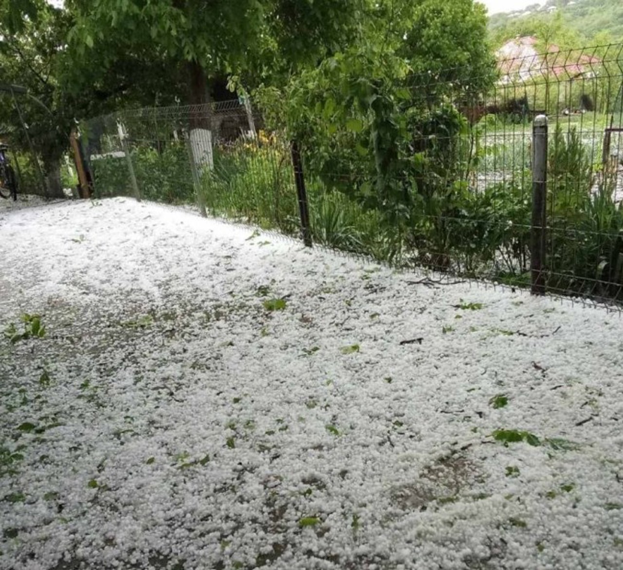 Ploaie puternică cu grindină și vijelie în nordul țării: „Parcă a nins în grădină”