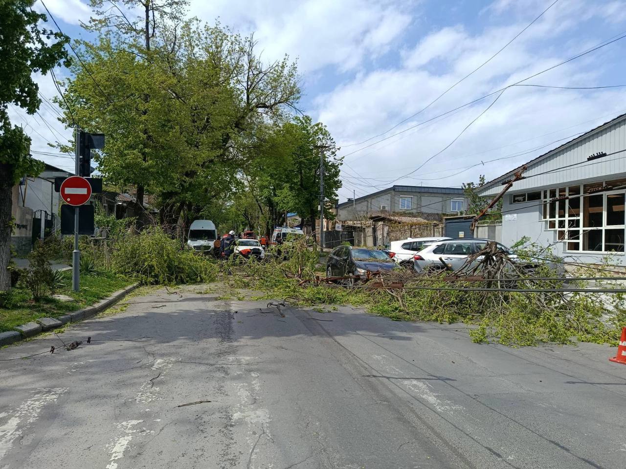 Vânt puternic în R. Moldova: Persoane rănite, drumuri blocate, pomi căzuți peste mașini și localități fără energie electrică  