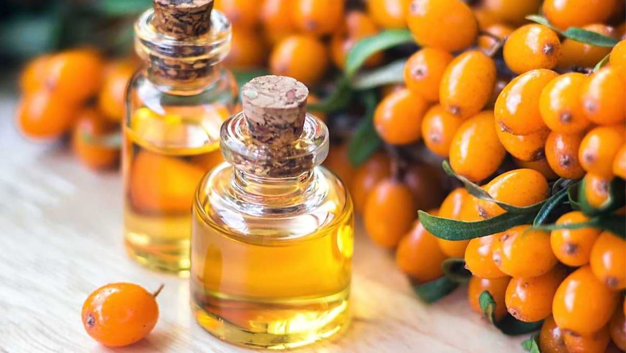 Cătina, fructul bogat în vitamine care ajută la prevenirea răcelilor