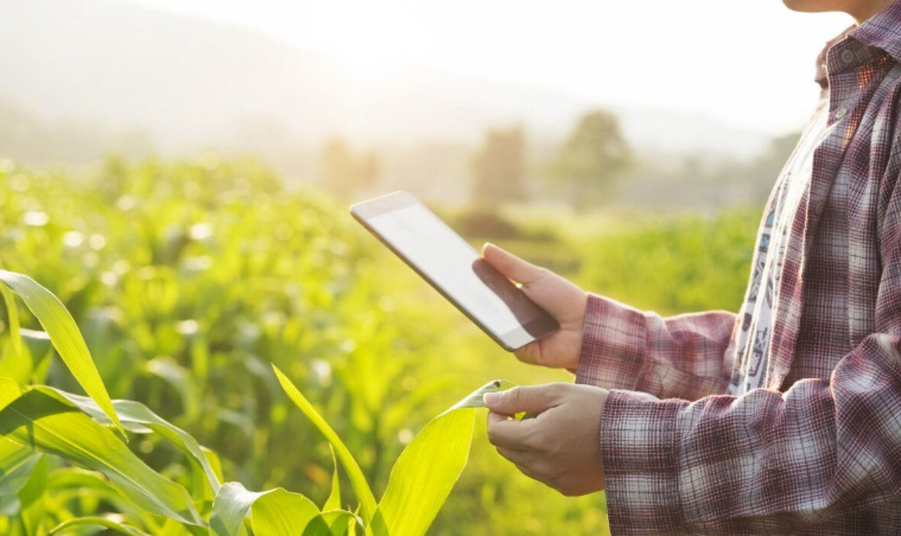 Consilierea agricolă, un sprijin tot mai important pentru fermierii din Republica Moldova