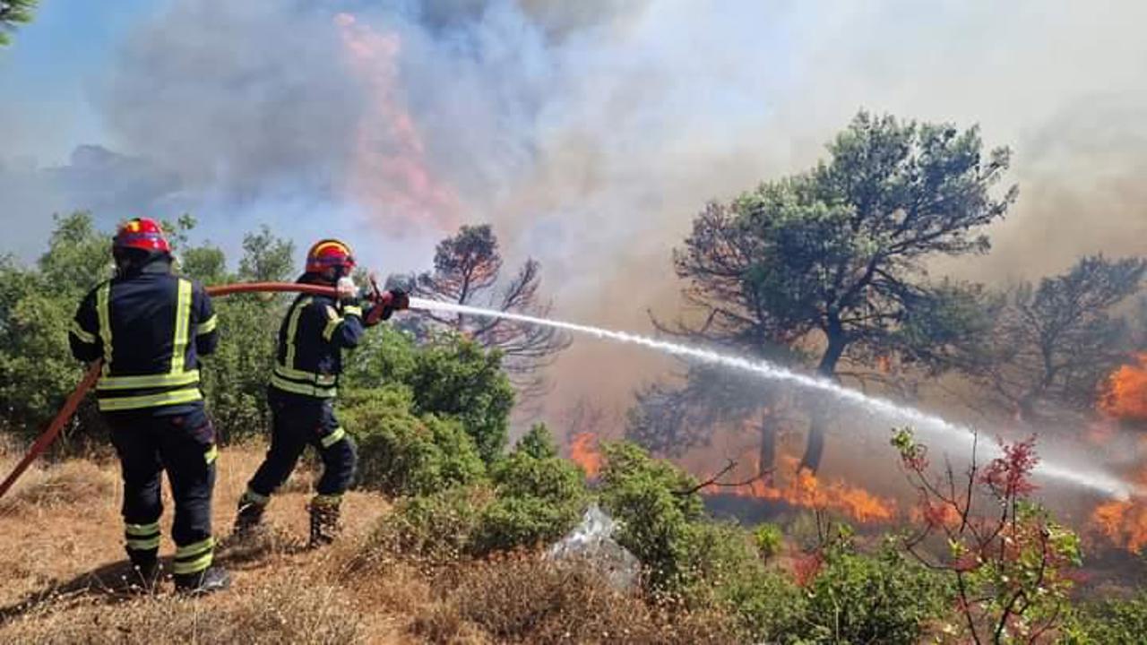 Moldovan firefighters deploy to Greece for EU wildfire mission