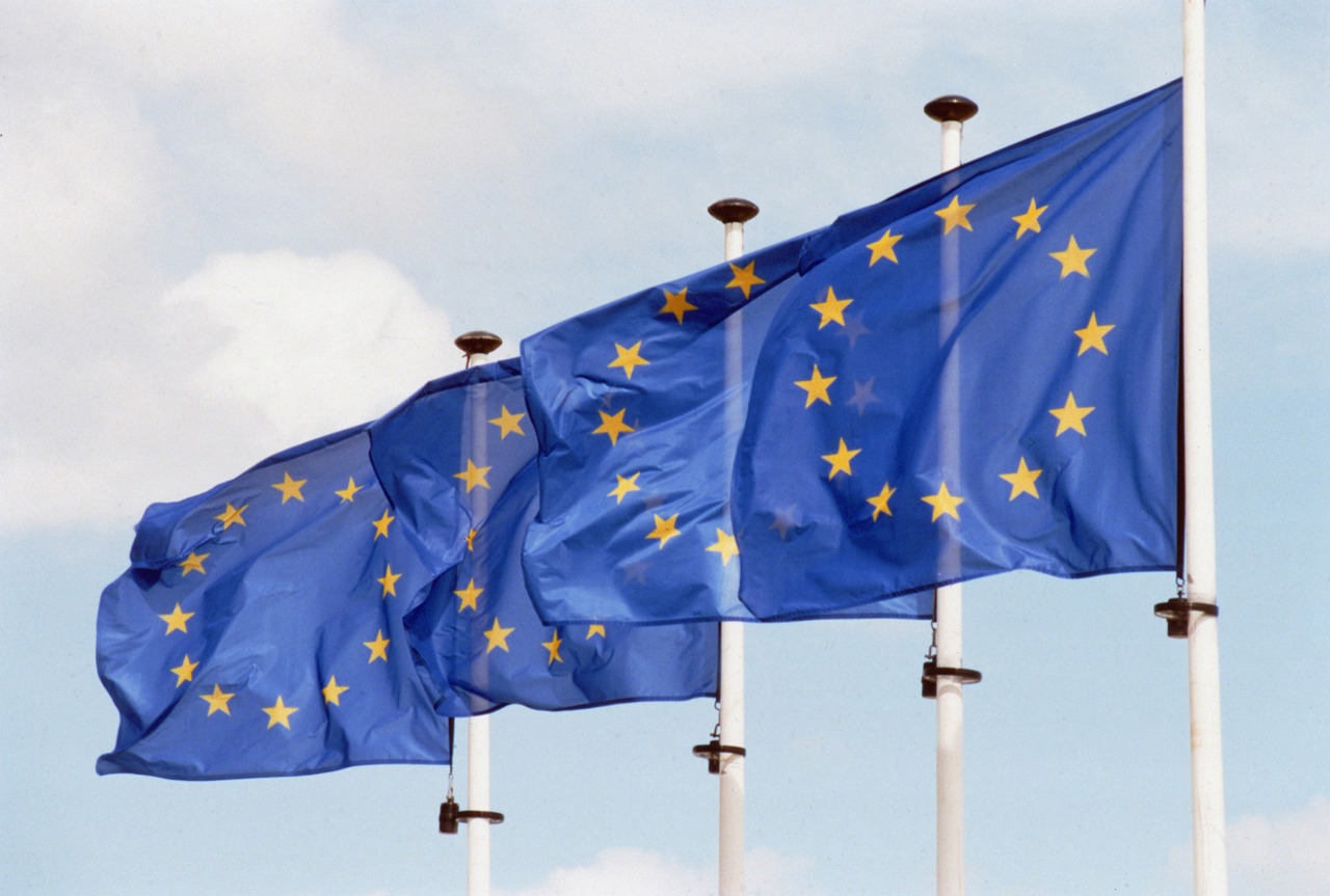 UE salută rezultatele alegerilor din Serbia și Brazilia și mizează pe consolidarea relațiilor